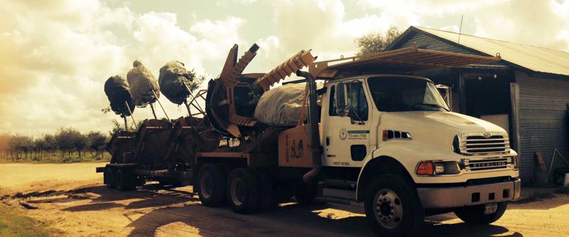 Tree Truck Transplanting